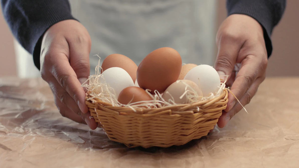 White Eggs Or Brown Eggs: Which Is Better